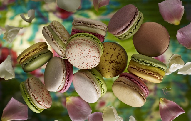 Pierre Herme macaron le jardin