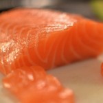 salmon