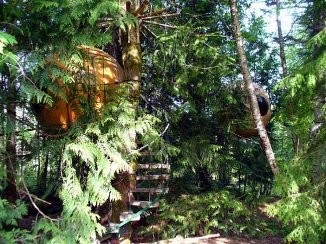 Free Spirit Spheres Hotel