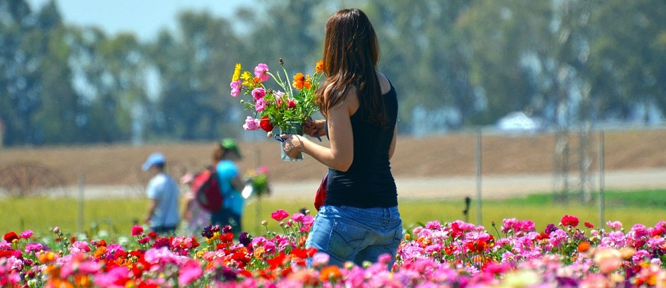 flowers for mother's day