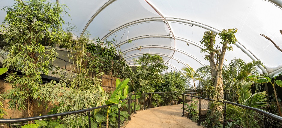 Marwell Zoo's new Tropical House