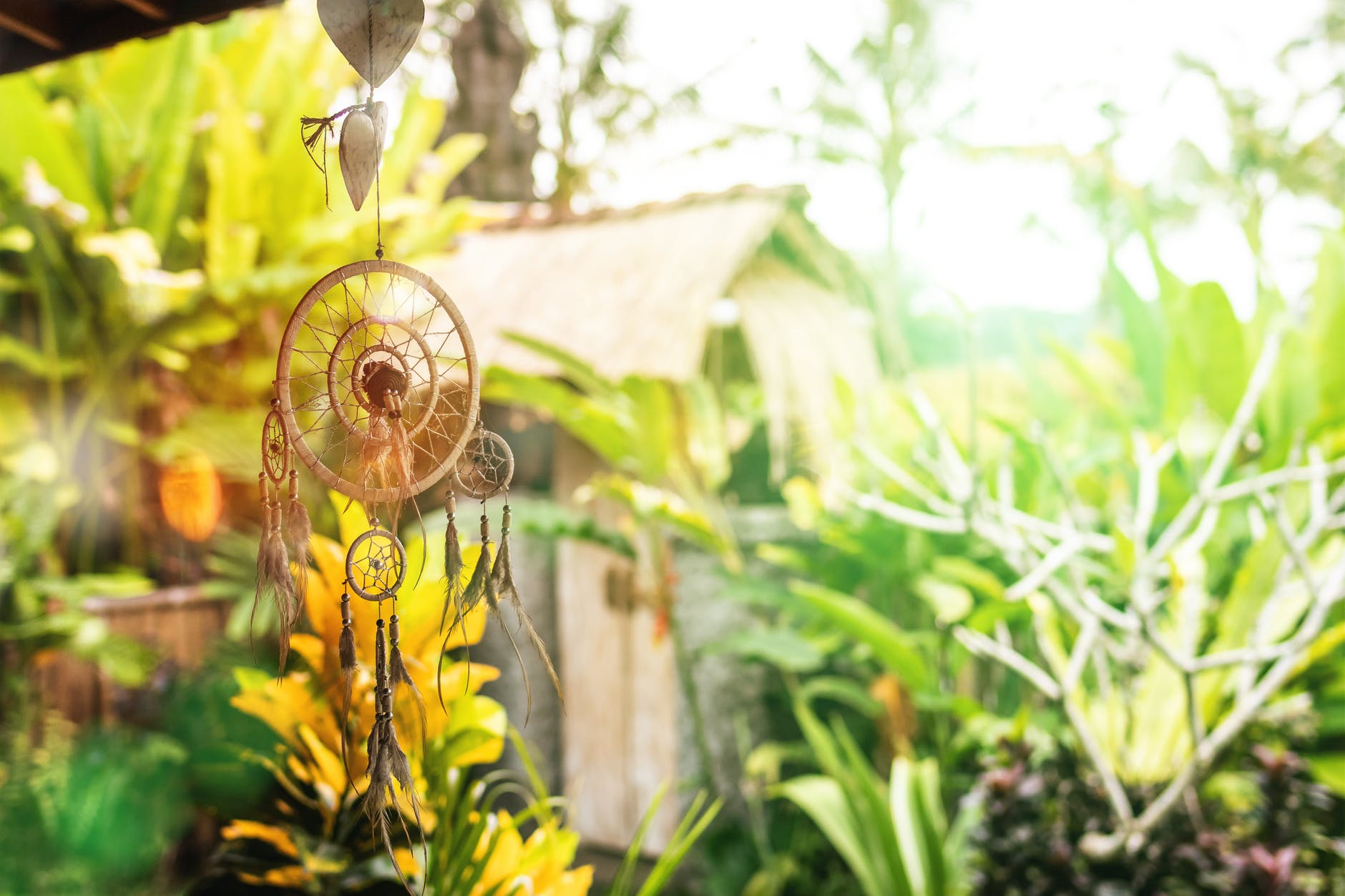 beige dreamcatcher near green plants