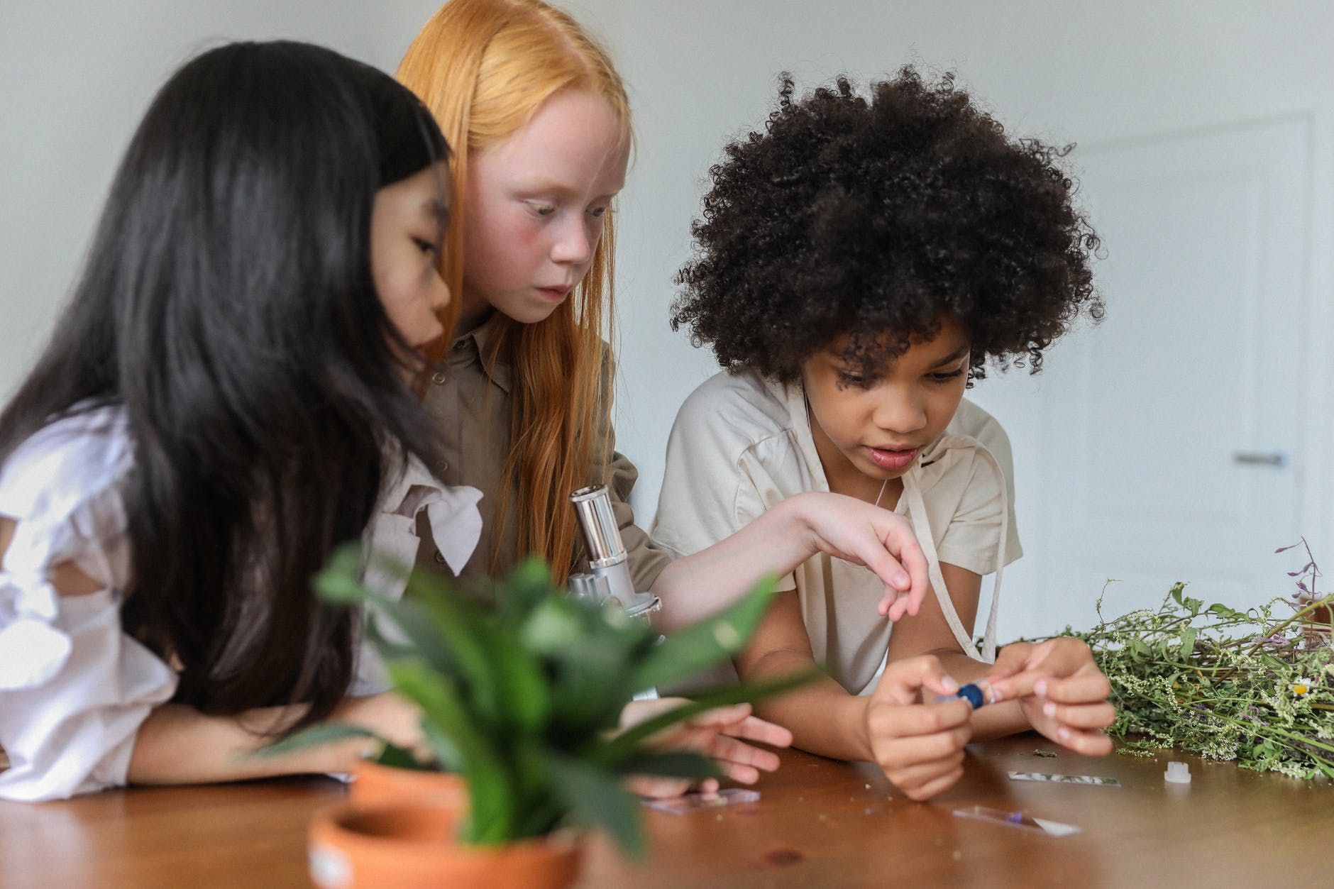 photo of young girl exploring together